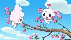 第123回　第217話「最後のたまミズキ」
