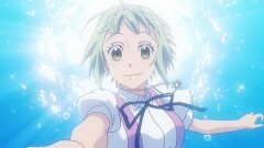 第11話 猫と子猫のコト
