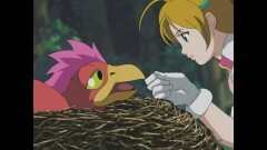 第15話　密猟者のワナ！ クック鳥を救え！