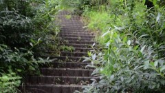 投稿心霊ファイル　〜霊障〜