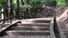 実録恐怖動画　〜連鎖の悪夢〜