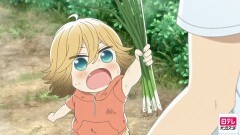 第9話 いりこだし