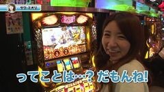 #6 チビデカ2/ハナハナホウオウ30/ニューハナハナ30/凱旋