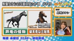 白河雪菜のパチテレ！チャンネルガイドVOL37