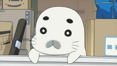 第33話 帰ってきたゴマちゃん