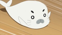 第41話 完治くんとこねこ