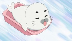 第62話 さっぽろゴマちゃん