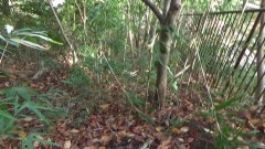超！！怖い心霊ビデオ 16