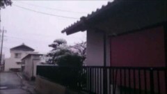 超！！怖い心霊ビデオ 19