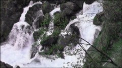 実録！！ほんとにあった恐怖の投稿映像　22