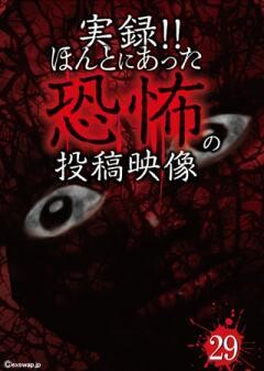 実録！！ほんとにあった恐怖の投稿映像　29