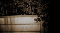実録!!ほんとにあった恐怖の投稿映像　33