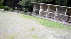 実録!!ほんとにあった恐怖の投稿映像　36