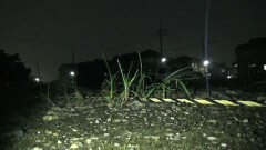実録！！ほんとにあった恐怖の投稿映像　BEST30　第5弾