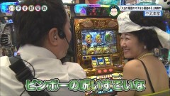 #11 パチ電/ハーデス/凱旋/攻殻/北斗の拳 転生の章