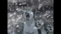 #13　永遠の誇り