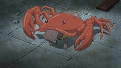 ♪06 ハハはカニ カバはサイ