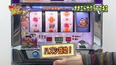#33 マニアの遺言/オオエドサクラフブキ2/ビーバーダム