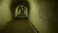 特集　衝撃心霊映像　V