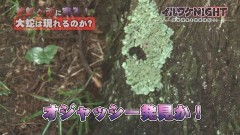 イルワケNIGHT ファイル2 雄蛇ヶ池の大蛇(千葉・東金市) vol.7