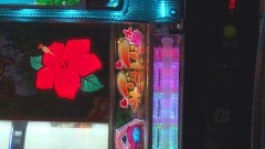 #171 必勝本セレクション/沖ドキ!