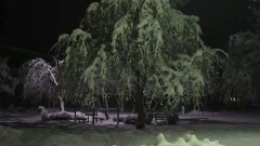 投稿霊像 緑の章