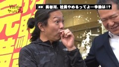 #17 ハセガワヤング/キャッツアイ/スパプラSP/鏡/デュエルドラゴン+