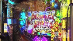#42 ハセガワヤング/Pバジ2/Pホー助くん/エウレカ3/星矢BEYOND
