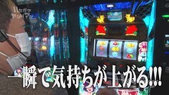 #95 ハセガワヤング/Pとある科学の超電磁砲/沖ドキ！DUO/P真・花の慶次3