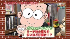 #235 オリジナル必勝法セレクション/谷村ひとしのQ&A