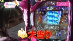 #367 オリジナル必勝法セレクション/北斗無双/とある魔術の禁書目録/海 JAPAN2 金富士199/大海物語BLACK