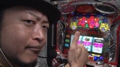 #32 DXセレクション/パチスロ 花人-はなんちゅ-