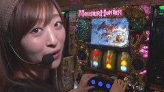 #81 DXセレクション/パチスロ モンスターハンター 月下雷鳴