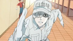 第1話 肺炎球菌