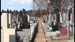 実録恐怖動画　Curseの記録