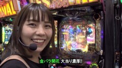 #523 サイトセブンカップ/AKB123/PA大工の源さん