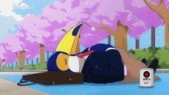 第3話 アフリカのお花見