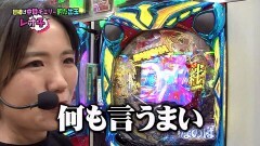 #14 RSゴーゴゴー/Pリリカルなのは 2人の絆/ビッグドリーム2/新・必殺仕置人
