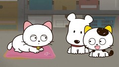 ダヤンとタマと飛び猫と　〜3つの猫の物語〜
