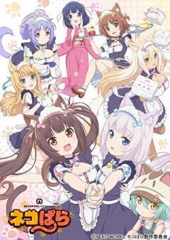 ネコぱら
