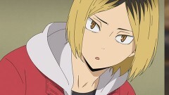 第17話 「ネコＶＳサル」