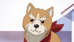 第1話 時空を越えて蘇った漢（おとこ）　ワシが織田シナモン信長である！？