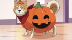 第4話 雨音は戦いの調べ〜始まりはいつも雨〜