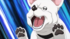 第7話 地球の平和を守りたい・・・ドッグランより愛を込めて？