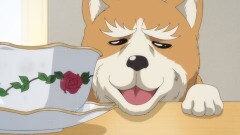 第9話 コタツでほっこり♪極寒越冬木枯らし冬将軍