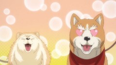 第10話 待ちきれなくて・・・夏！！ワンピと褌でいざ尋常に勝負！！！