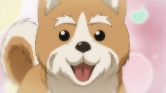 第12話 いくさの子犬
