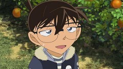 第924話 みかん畑に陽は沈む