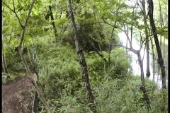 恐すぎる監視カメラ 危険地帯編 10編