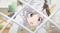 第7話　タマ誘拐される／おったま毛／猫カフェ・ヴァイオレット